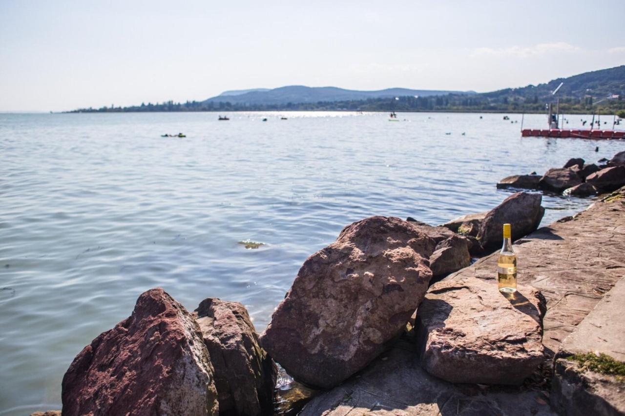 Balaton Wellness Tom Cat Nyaralo 1 Wellness Es 1 Gyermekbarat Apartmannal Kovagoors Екстериор снимка